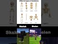 Types Of Skeletons