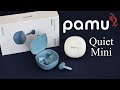 PaMu Quiet Mini //Добротный звук, АКТИВНОЕ шумоподавление и хорошая автономность