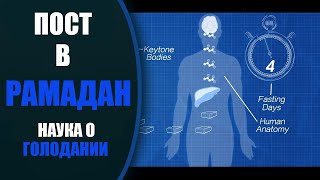 Что происходит с организмом, когда вы поститесь? (Ораза) (Рамадан)