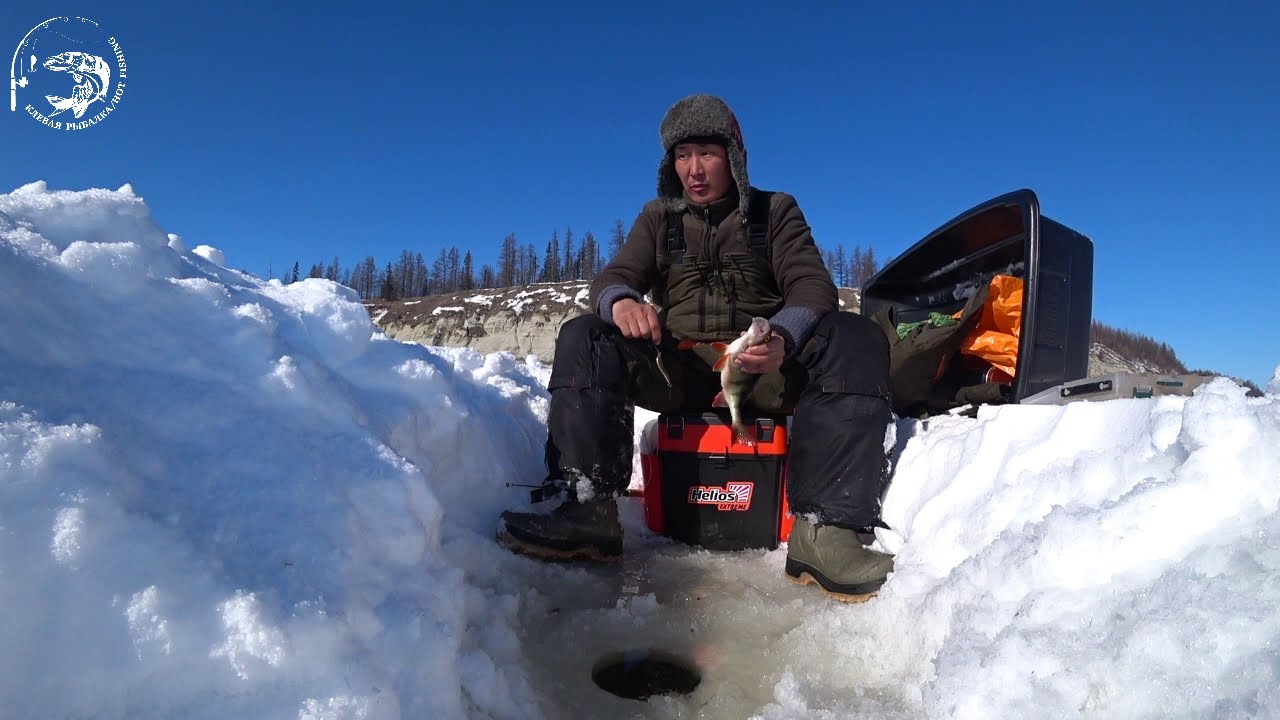 Как мы наловили 4 мешка ГОРБАЧЕЙ за полдня! Yakutia