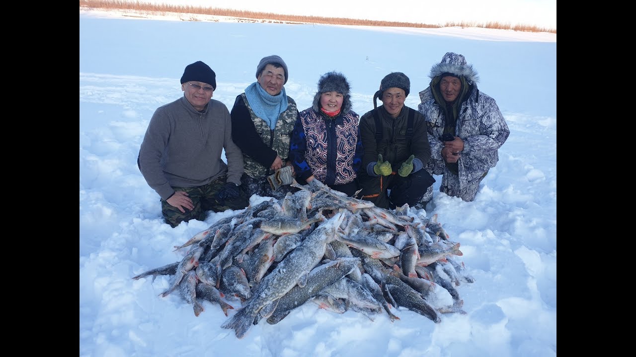 Как мы наловили 4 мешка ГОРБАЧЕЙ за полдня! Yakutia