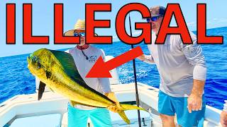 A Full Guide to Fishing in The Bahamas | REGULATIONS