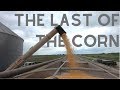 MY CORN IS GONE - Was it the right thing to do?