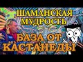 Чему учил Дон Хуан? ФИЛОСОФИЯ КАСТАНЕДЫ: основы