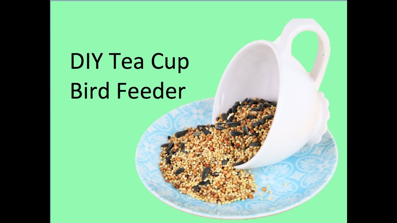 Diy Tea Cup Bird Feeder Youtube
