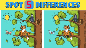 Spot 5 Differences | Find 5 Differences between two pictures | Riddle Hunt