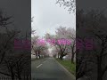 2026년 4월 15일
