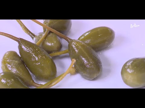 اعرفي استخدامات نبات الك بر في البيكاتا والسمك وأكلات تانية من غادة التلي