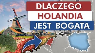 Dlaczego HOLANDIA jest BOGATA?