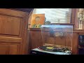 Miniature de la vidéo de la chanson Mexican Hat Dance