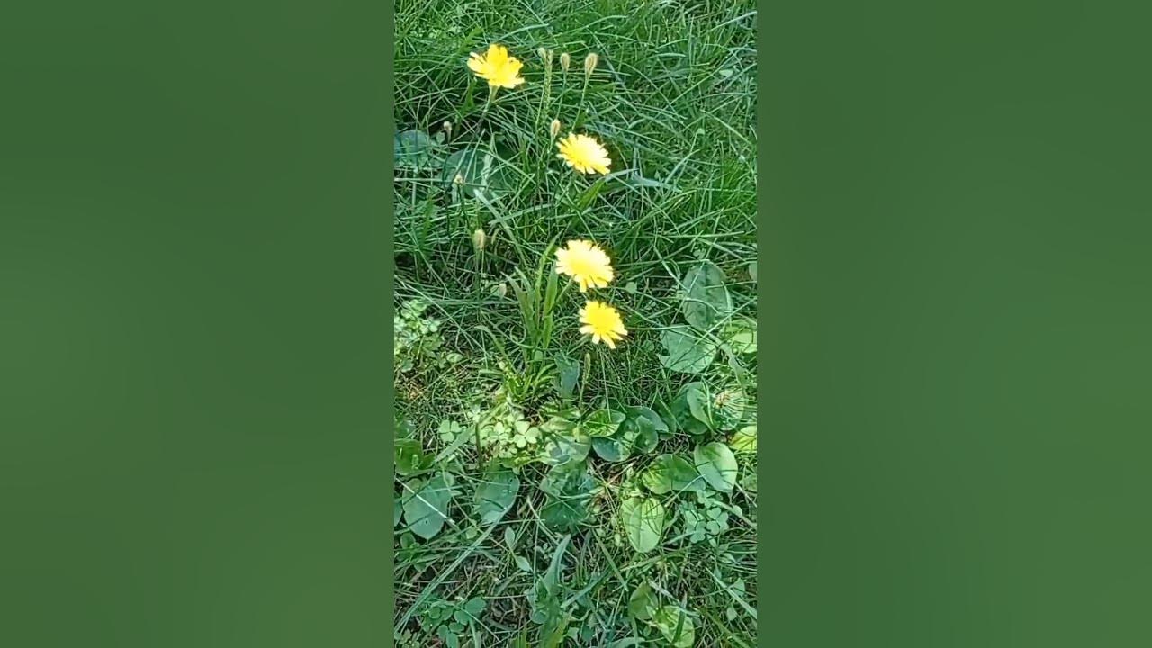 для Пашки - YouTube