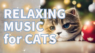 [６Hrs+ ] CAT TV with Purring Cat BGM -Christmas Cat video for cats to watch : Holiday Relaxation