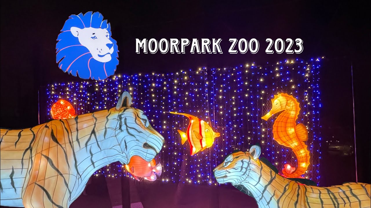 Christmas Lights at the Moorpark Zoo Wild Lights & Ocean Nights 2023