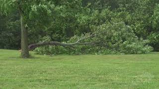 06-26-2021 Shelbyville IL - Heavy Rain and Storms