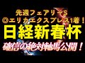 【日経新春杯2025】確信の絶対軸馬公開！先週フェアリーS◎▲で的中！競馬予想AI ソフト