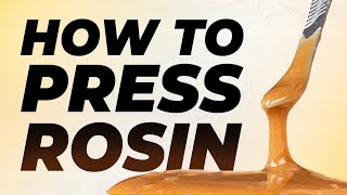 🗜️ Mastering Rosin 🍯 | Chubbs presses Concentrate from Fast Buds Dry Sift