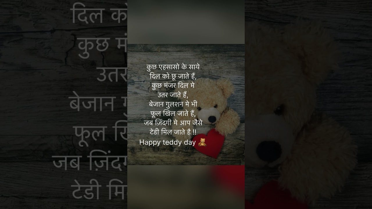 Teddy day special quotes || teddy day love shayri || teddy day status 