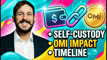 Collect Chain x VeVe: Everything You Need to Know in 11 Minutes