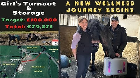 A Huge Step Forward in Our Horses’ Wellness | Hofmag Trial with Nero (Chaos Included!)