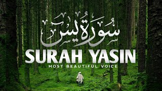 036-Surah Ya-sin (سوره یاسین ) | Salim Bahanan | Beautiful Recitation | akhtiar_s99