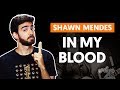 IN MY BLOOD - Shawn Mendes (aula de violão simplificada)