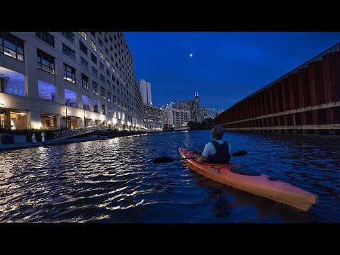 Discover Chicago’s Extraordinary Floating Wildlife Sanctuary