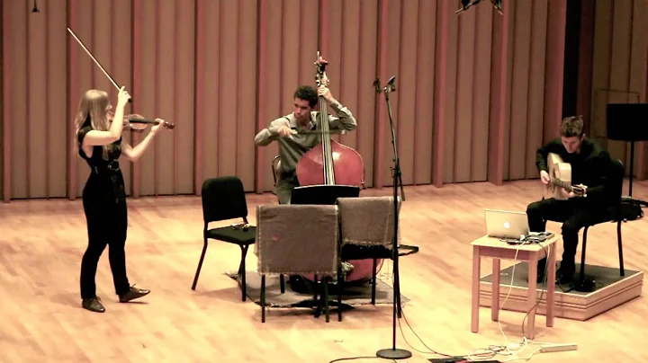 Trio Dinicu: Whistle Hora (G. Dinicu) - Luanne Hom...