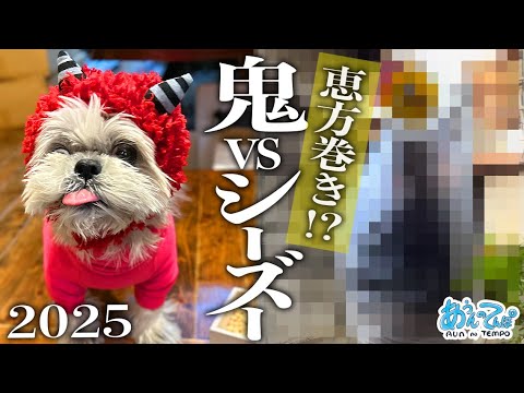 【黄鬼vs犬】我が家のカオスな節分が今年もひどすぎる…2025
