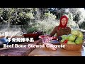 Beef Bone Stewed Chayote|Muslim Chinese Food | BEST Chinese halal food recipes【洋瓜炖牛骨】