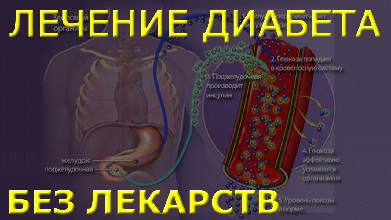 Лечение сахарного диабета рекомендации Доктора мед. наук Жан-Бернард ...