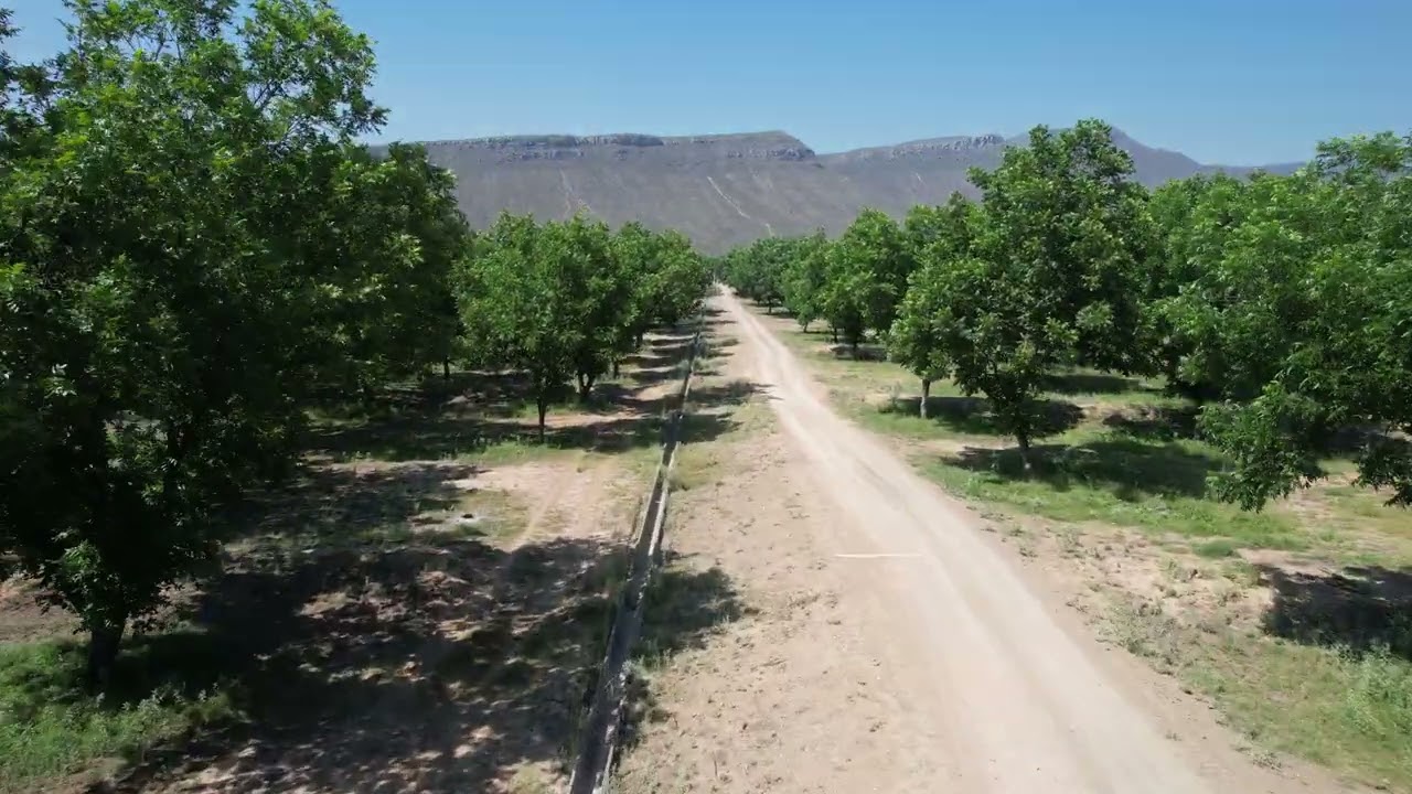 14.04.2025 - Exploring the Ranch