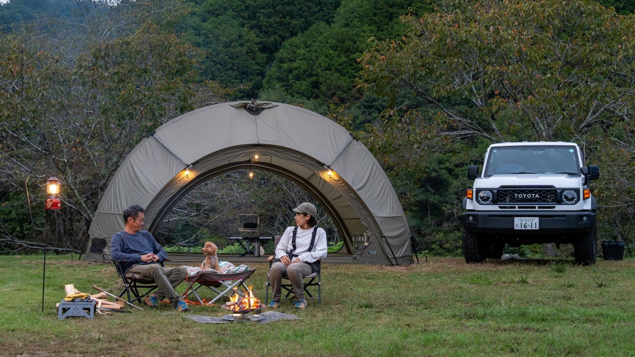 В поисках маленьких радостей в походе под дождём | Отдых с собакой