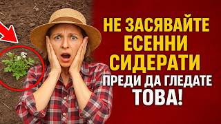 картинка: Не засявайте есенни сидерати, преди да гледате това! 5 фатални грешки, които ще убият почвата ви.