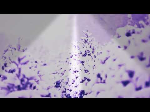 ألاحبذا نورا رحال أغنية أهل الغرام 