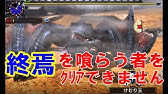 モンハンクロス 攻略 最強の双剣装備 氷 Mhx Youtube