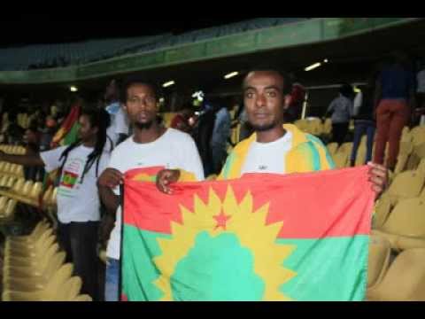By Kadir Bule Hora 2 2013 Africa Cup Of Nation Senna Bonsa Ilman Oromo Kan Afrika Kibba
