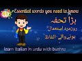41. 100 words for beginners | online italian lessons for beginners | learn italian in urdu