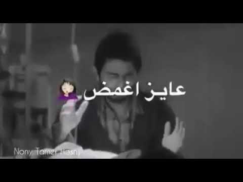 تامر حسني كدة برضو تسبني وازاي تمشي ومتكلمناش