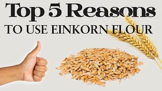 Top 5 Reasons to Use Einkorn Flour (Ancient Grain with Modern Benefits)