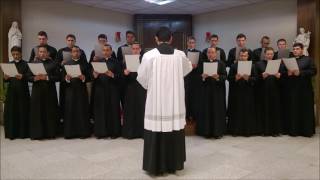 Video thumbnail of "Veni Sancte Spiritus - Coral do Seminário maria Mater Ecclesiae do Brasil"