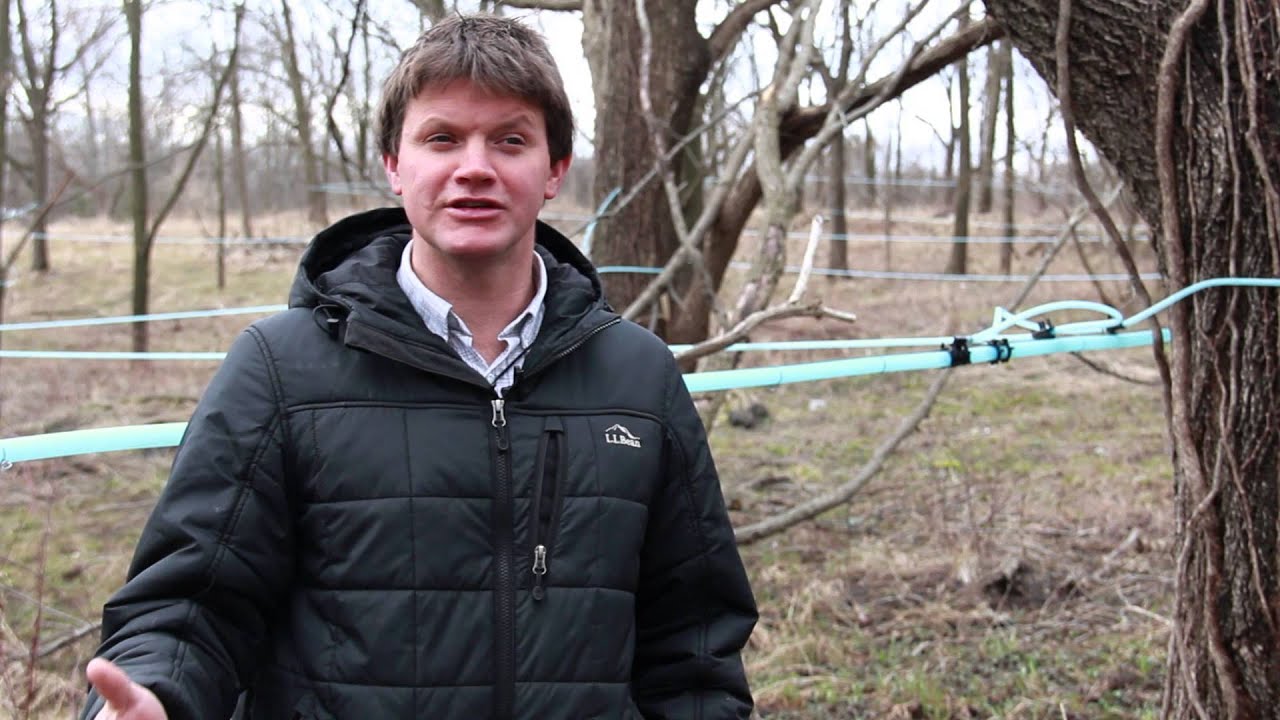 Walnut syrup and nut allergies YouTube