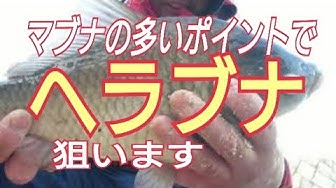 マブナ Youtube マブナ Youtube