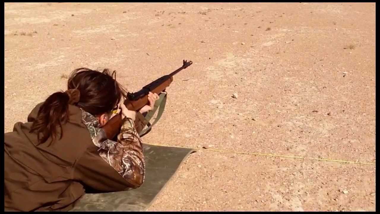 Shooting Training - RWVA's Project Appleseed