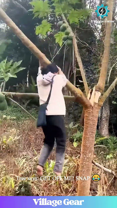 KARMA INSTAN?! Pohon Pepaya Membalas DENDAM pada Tanaman Merambat! Kompilasi Kegagalan yang LUAR BIASA! #gagal #lucu #ya ampun