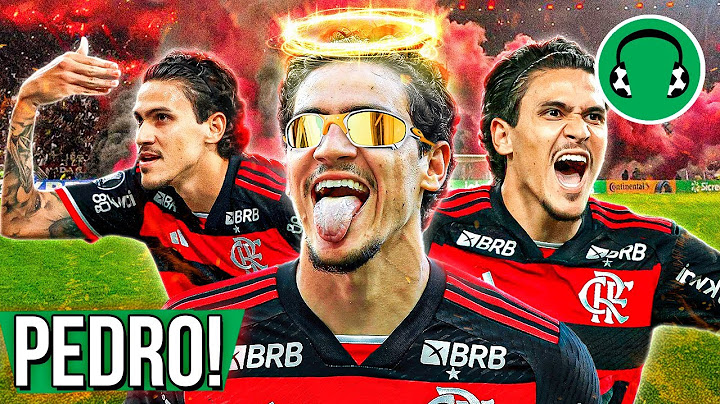 ♫ PEDRO PEDRO PEDRO! O ARTILHEIRO DO MENGÃO! | Paródia Pedro - Raffaella Carrà