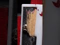 Pencil Sharpening in Macro | Ultra Zoom in SlowMo