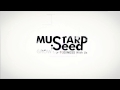 Mustard seed systems grow your business with us
