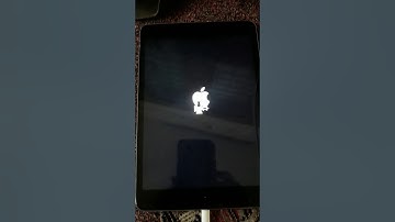 verbose boot I pad with checkra1n