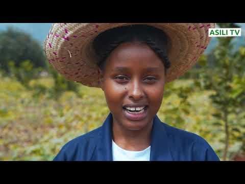 Matandazo Kwenye kilimo , Aina , Sifa na Faida zake kutoka kwa Shekinah Henday ( Agronomist kidoti)