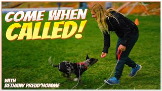 Teaching Your Puppy the 'Come When Called' Command by Nate Schoemer 19,801 views 10 months ago 10 minutes, 8 seconds